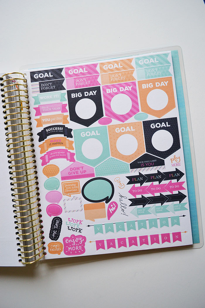 The Recollections Fitness Planner - I Am In LOVE!