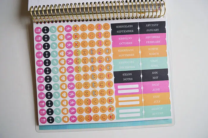The Recollections Fitness Planner - I Am In LOVE!