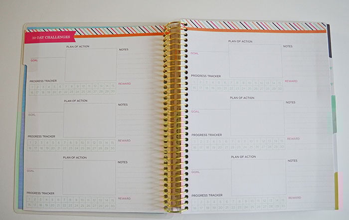 The Recollections Fitness Planner - I Am In LOVE!