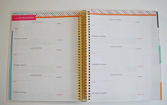 The Recollections Fitness Planner - I Am In LOVE!