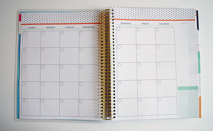 The Recollections Fitness Planner - I Am In LOVE!