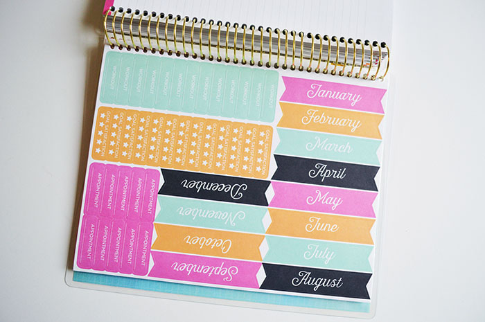 The Recollections Fitness Planner - I Am In LOVE!