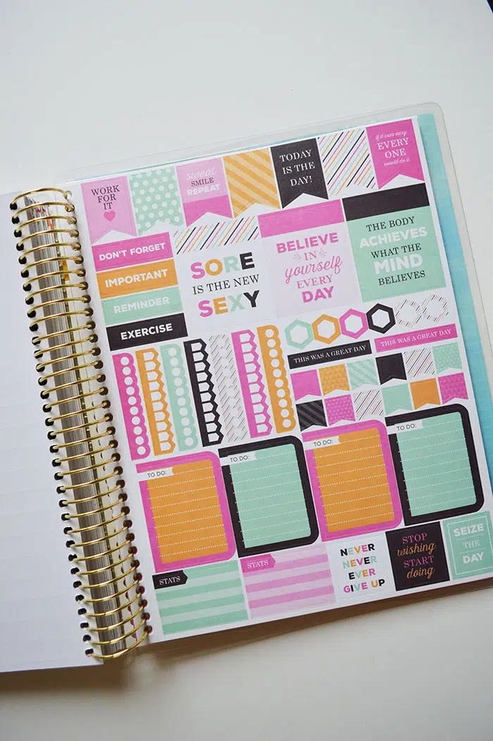 The Recollections Fitness Planner - I Am In LOVE!