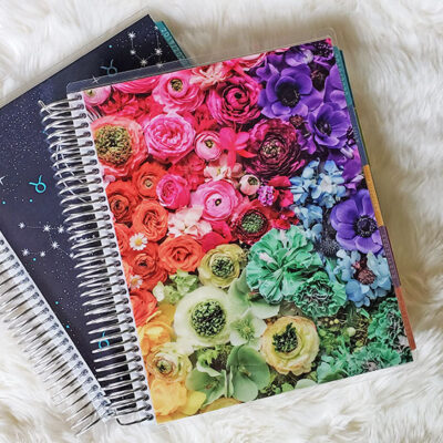 2019-2020 Erin Condren Deluxe Monthly Planner