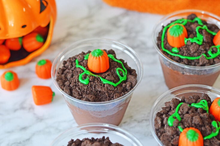 Pumpkin Patch Pudding Cups