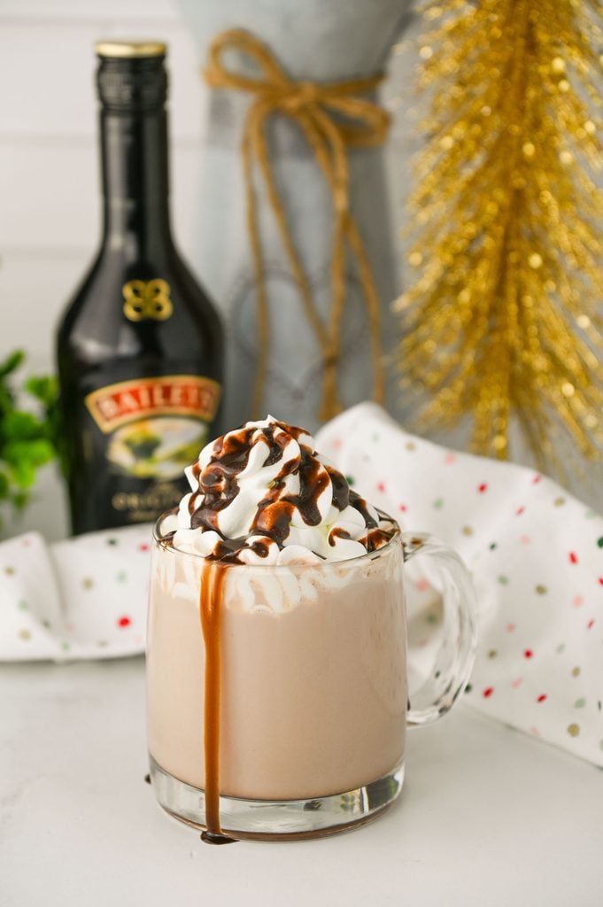 Creamy Baileys hot chocolate topped with whipped cream and a drizzle of chocolate sauce.